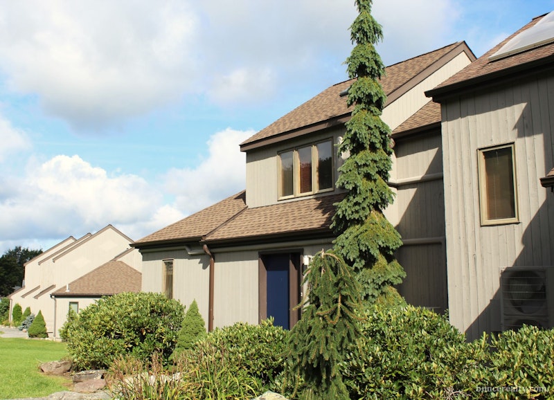 Stunning Windham Mountain Village Home 12 Windham Mountain Village