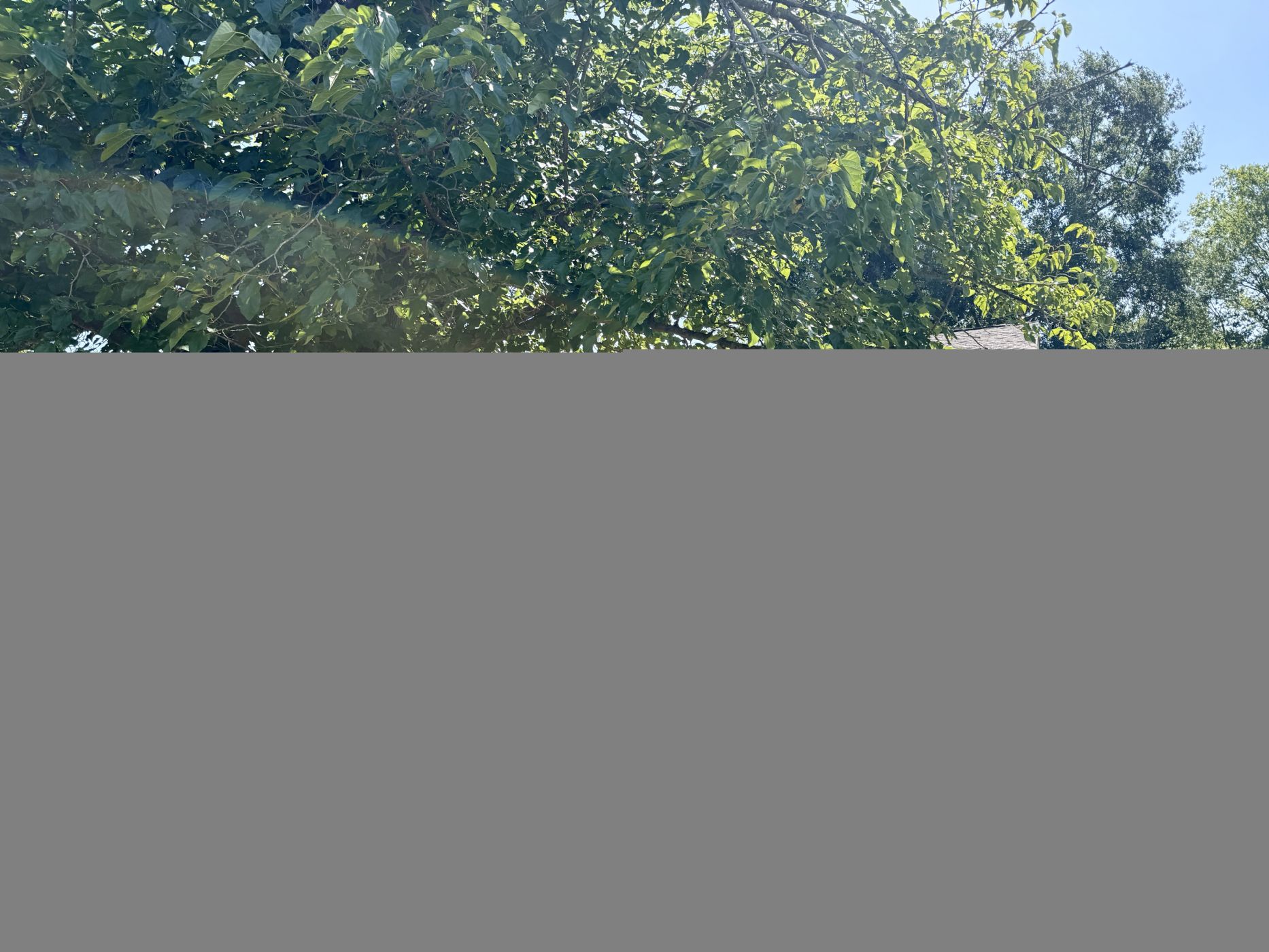 Terrell Home, TX Real Estate Listing
