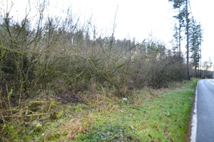 Auburn Home, WA Real Estate Listing