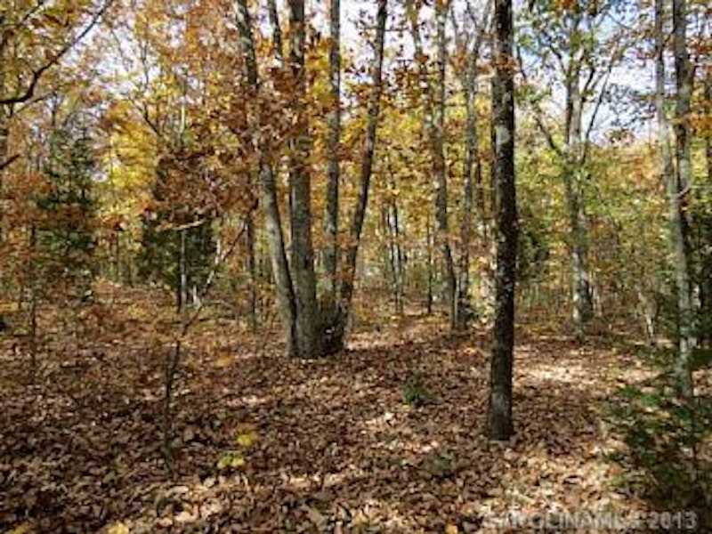 10.19 Acres of Land for Sale in Clover South Carolina 10 Ac Beersheba