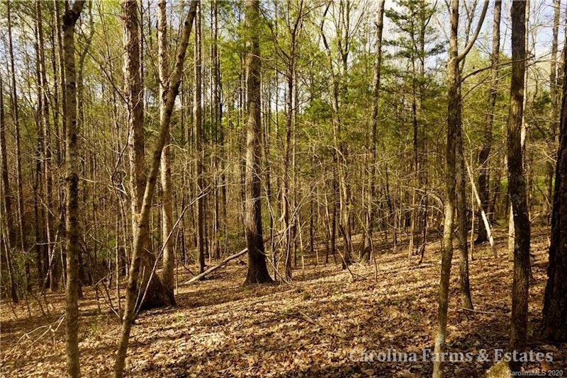 Ashford Rd. 5 Acres of Land in Chester, SC for Sale Ashford Street