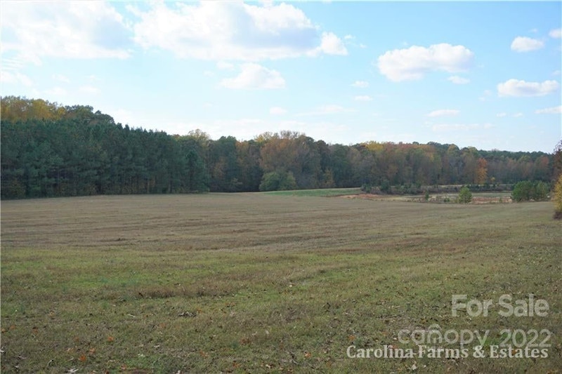 33 +/ Ac with Pond Armenia Rd Chester SC Land for Sale Armenia Road
