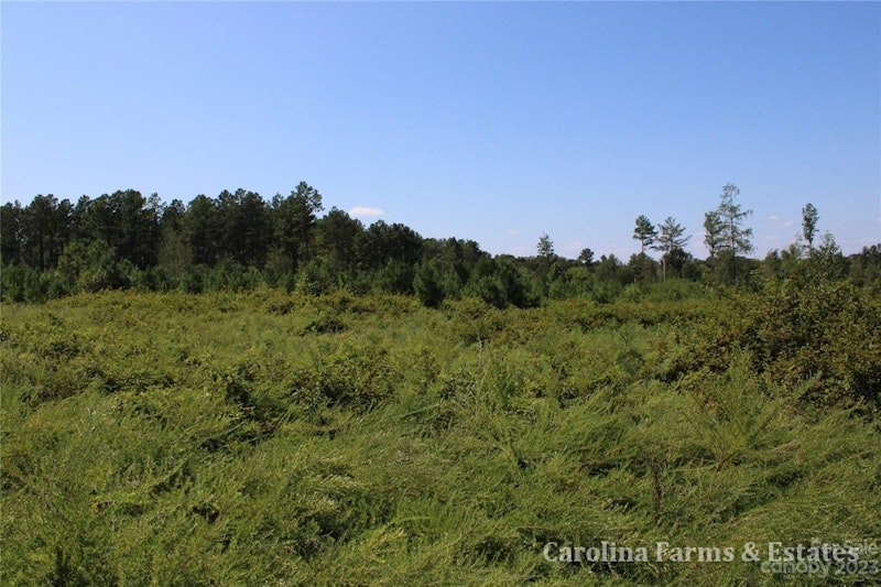 9 +/ Ac Wooten Rd Lot 3 Chester Land for Sale 9 +/ Ac Lot 3 Wooten