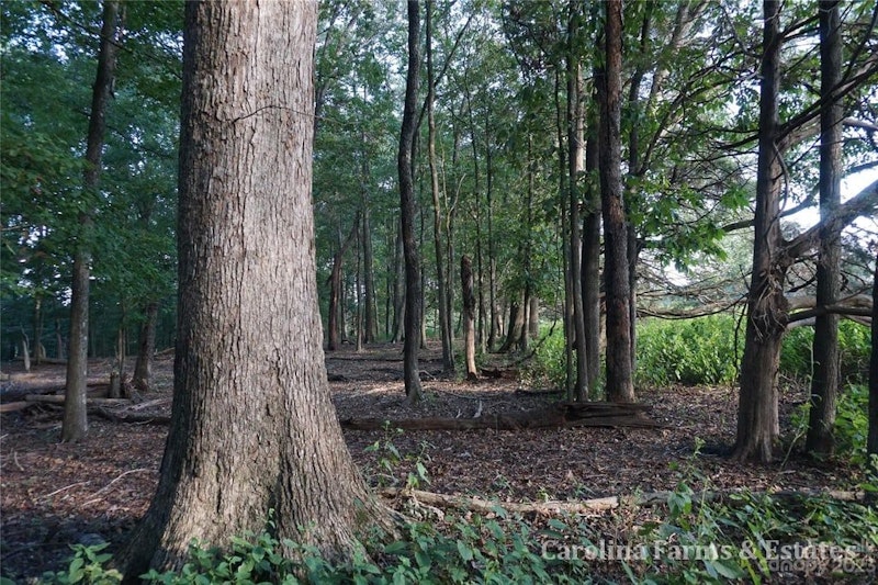 10 Acre Tract of Land for Sale Chester, SC Property 10 +/ Ac Fishing