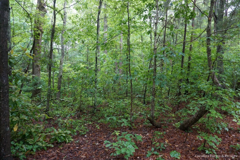 5+/ Ac Rock Cut Rd Smyrna, SC Land for Sale 5+/ ac Lot 2 Rock Cut