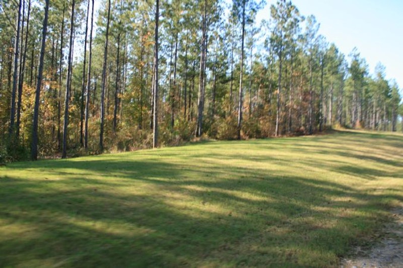 13 Acres for Sale in McConnells South Carolina Tim Helline Carolina Farms & Estates 13