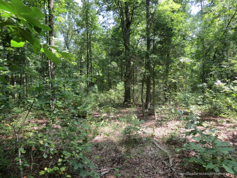 6 AC Hwy 557 6 AC Hwy 557 Highway, Clover SC