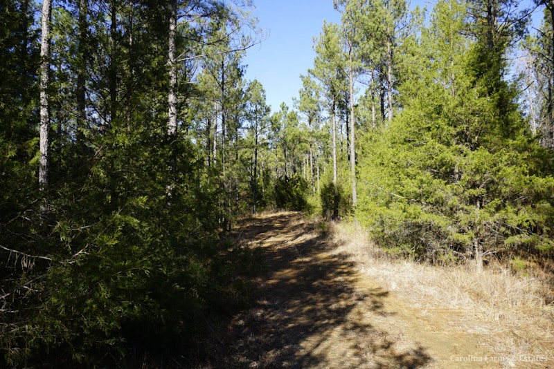 4 +/ Ac Lot 2 Skyline Road Chester SC Land for Sale 4 +/ Ac Lot 2