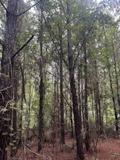 Grove Hill Home, AL Real Estate Listing