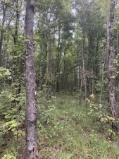Sunflower Home, AL Real Estate Listing