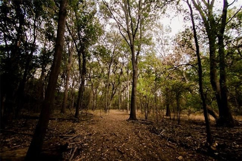 Tract 2 at Navarro Mills Lake TR 2 NW 3110, Purdon TX