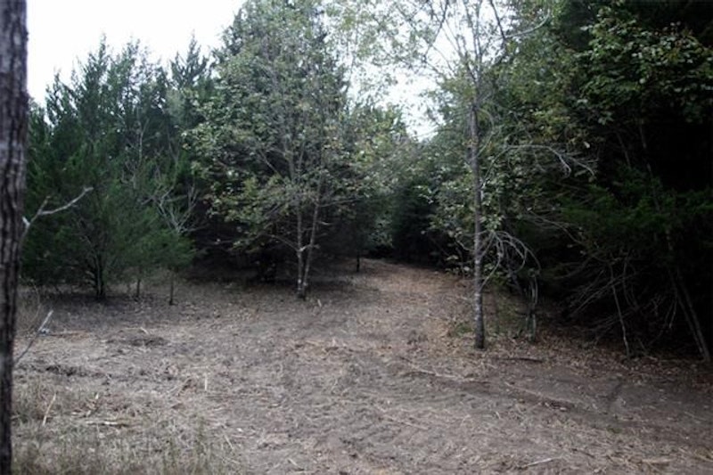 Tract 4 at Navarro Mills Lake TR 4 NW 3110, Purdon TX