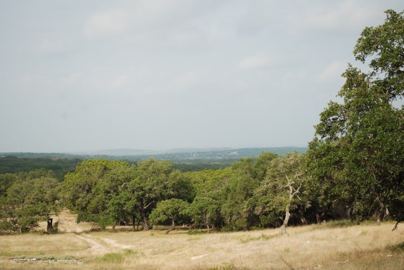 Blackbuck Ridge Lot 177 16.5 Acres Blackbuck Ridge Drive, Lampasas TX