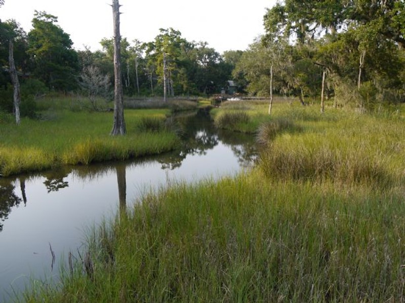 Sacred Oaks Canal Front Lot Lot 11, Beacon Point Drive, Santa Rosa
