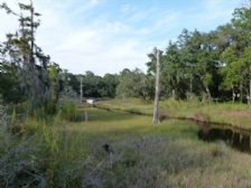 Sacred Oaks Lot 18 Rearden Way, Santa Rosa Beach FL